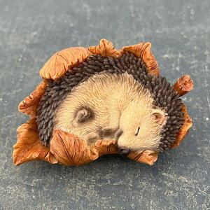 WooBiaFtςɕ܂nlY~ijiH20547-Bj