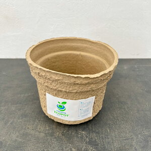 v~AGR|bgKUB3*ia16cm×14cmj 10Zbg