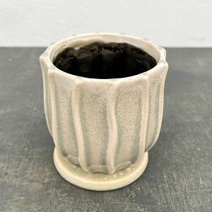 TeBFOCSia11cmjE󂯎Mt