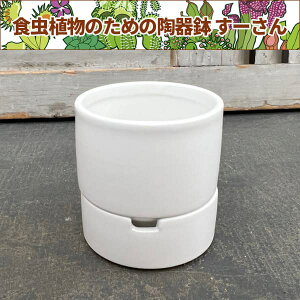 ���[����F�z���C�g�^S�T�C�Y ���L�M�t�i���a8.0cm�A����8.5cm�j