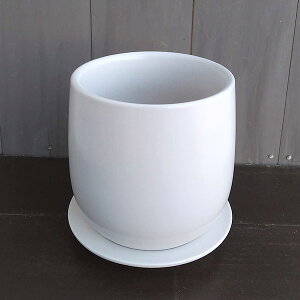 IXg {[@}bgzCg25cmEMtHO-601-4MW