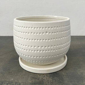 GXr[N V[ zCg 18cmEMt