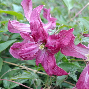 N}`X̕c/N}`XFU4O|bgir`Znj