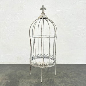 OJ[WsbN WiUF595j^51.5cm