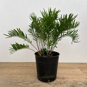 ϗtA/U~AFt_?i@7d|bg25-05