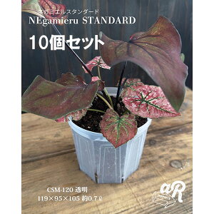 XbgijFlK~GX^_[h4 10Zbg