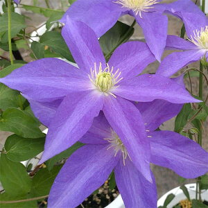 N}`X̕c/N}`XF䂫4O|bg