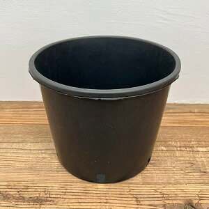 i[Z[|bg@[^Cva30cm×24cmiPQ-NL28j