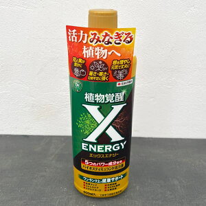 oCIXeB~g͉tFX-ENERGY(GbNXGiW[)600ml 2Zbg