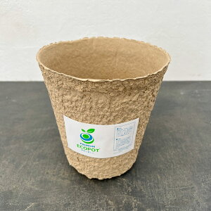 v~AGR|bgKUHJ3*ia17cm×17.5cmj 5Zbg