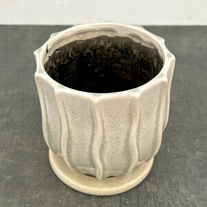 TeBFOCMia15cmjE󂯎Mt