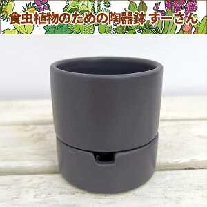 [F_[NO[^STCY LMtia8.0cmA8.5cmj