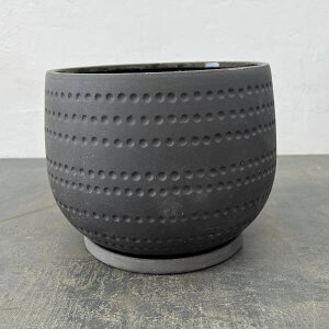 GXr[N V[ ubN 23cmEMt