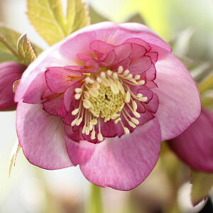 NX}X[YF~XeB[YZ~_u3|bg