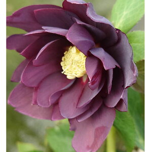 NX}X[YFxM[ _uubN4.5|bg