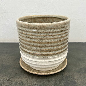 XpC |bg Ah \[T[Fx[W^LTCYia17cmA17.1cmj