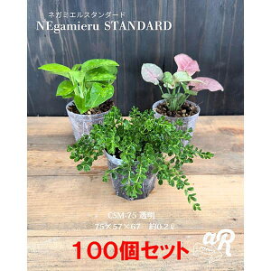 XbgijFlK~GX^_[h2.5 100Zbg