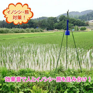 �_�앨��Q�΍�� �C�m�V�V�т�����DG505���ʓI�Z�b�g�i�O�r�x���t�j