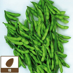 [��������](�Ɩ��p�E�󒍐��Y�i)�G�_�}���F�������薺 2000���iR�j[��؃^�l]*