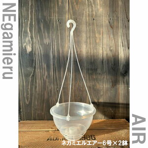 ݂蔫ijFlK~G@AIRiGA[j@6݂蔫 2Zbg