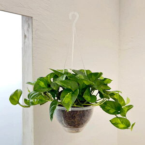 ϗtA/|gXFO[oO[6݂蔫ilK~GGA[×˂`bvj