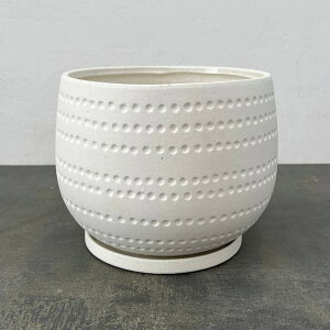 GXr[N V[ zCg 23cmEMt