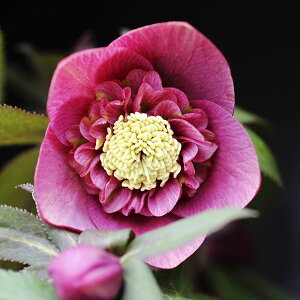 NX}X[YFCfBAbhZ~_u3|bg