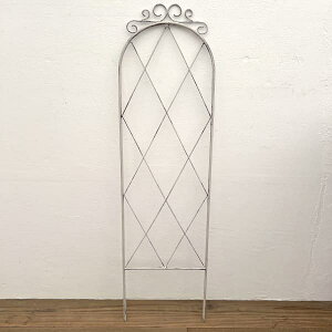 gXiPanyaЁj5668 AeB[NzCgi25.4cmA91.5cmj