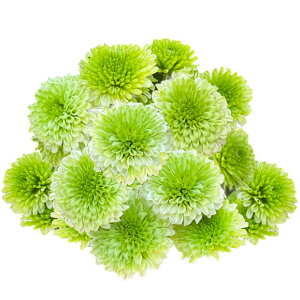 Ԃ̕c/oGb^}iԕtecjFCCg3.5|bg