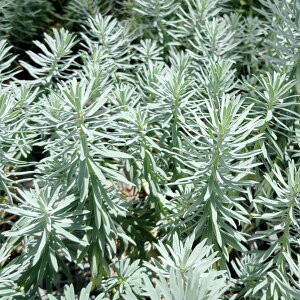 Ԃ̕c/[tHrAFRvgAbV4|bg