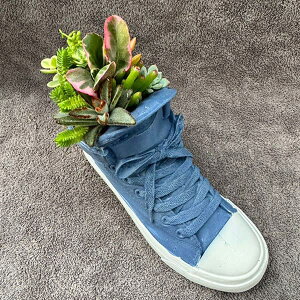 ϗtA/[]񂹐AV[Yv^[@24cm