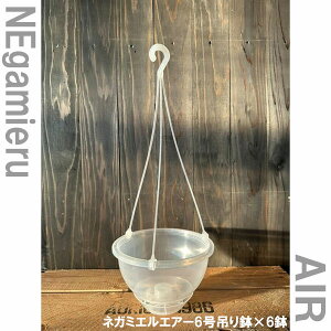 ݂蔫ijFlK~G@AIRiGA[j@6݂蔫 6Zbg