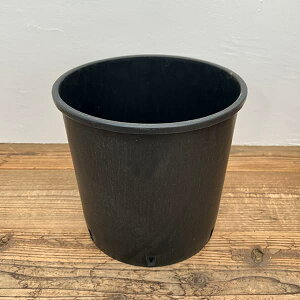 i[Z[|bga32cm×30cmiPQ-NP30j 5Zbg