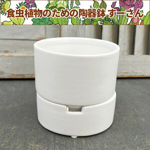 ���[����F�z���C�g�^M�T�C�Y ���L�M�t�i���a10.5cm�A����10.0cm�j