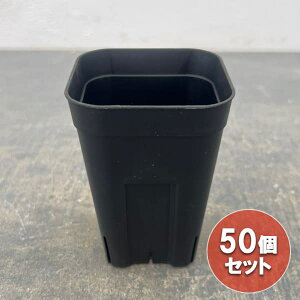 vXe90^ [ ubN 50Zbg