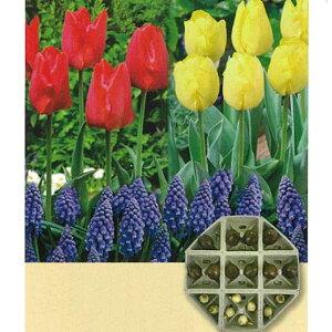 /ZbgFxRY`[bvuƂ܃bhvuvƁuXJvv18