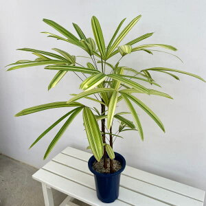 ϗtA/Jm`NFhRсiGCUjVLj@6A