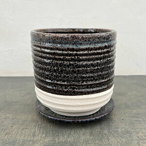 XpC |bg Ah \[T[FubN^LTCYia17cmA17.1cmj