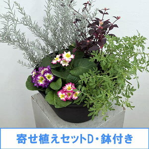 Ԃ̕c/񂹐AZbgDEtF^QeXEAeiZEGtBEv