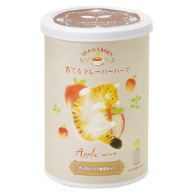 育てるフレーバー ハーブ：アップルミント