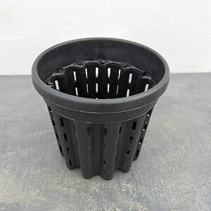 i[Z[|bg@bV^Cva19cm×17.5cmiRPX19j