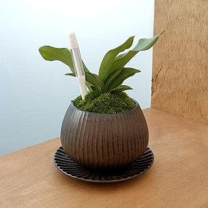 ϗtA/IgiNjFoEA^sX{EuYETXeB[t