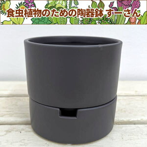 ���[����F�_�[�N�O���[�^M�T�C�Y ���L�M�t�i���a10.5cm�A����10.0cm�j