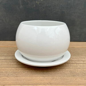 [IZ[]IXg V[{[ }bgzCg 13.5cmEMt