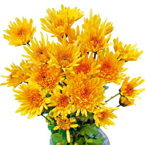 Ԃ̕c/ԂȂe~炫 炫ςeF 4|bg