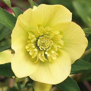 NX}X[YFX[p[CG[Z~_u3|bg