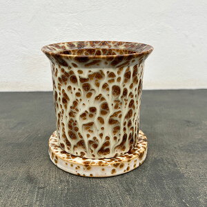 tbN |bg Ah \[T[FuE^STCYia11.5cmA12.5cmj