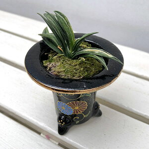 ϗtA/IgiNjFij@3єAyi̔259657z