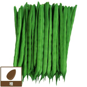 [](ƖpE󒍐Yi)CQF 200[؃^l]*