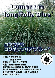 Ԃ̕c/}hFMtHAu[2.5|bg